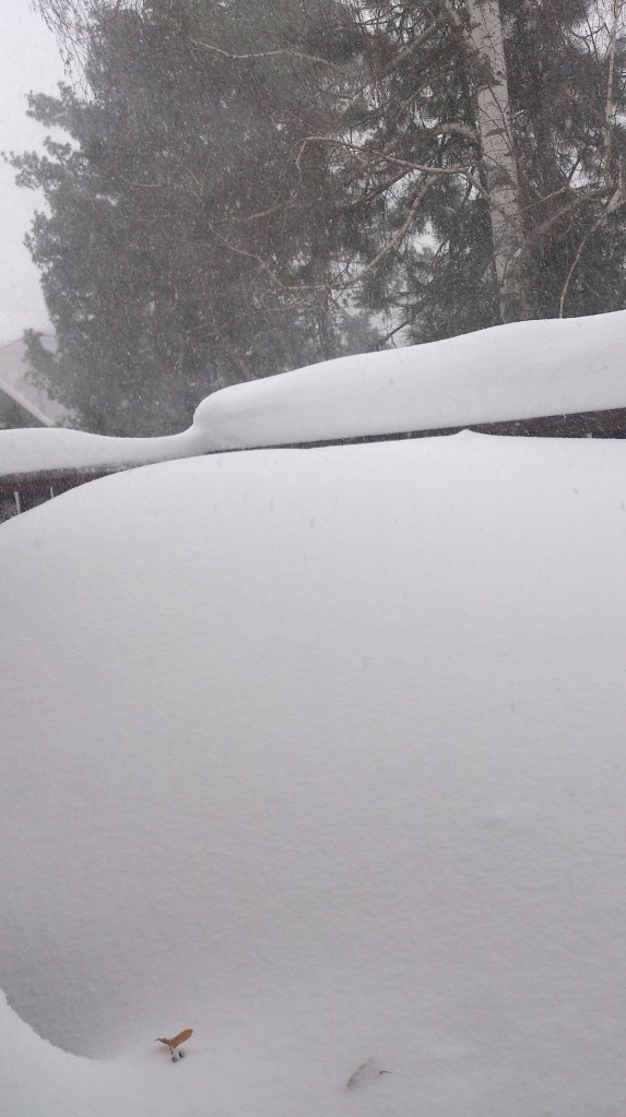 snijeg4